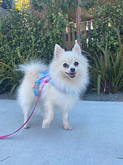 Malibu