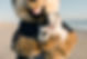 54A22DED-282E-42AA-A137-A681575FC94B.jpeg