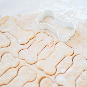 Peanut Butter Pumpkin Dog Treats