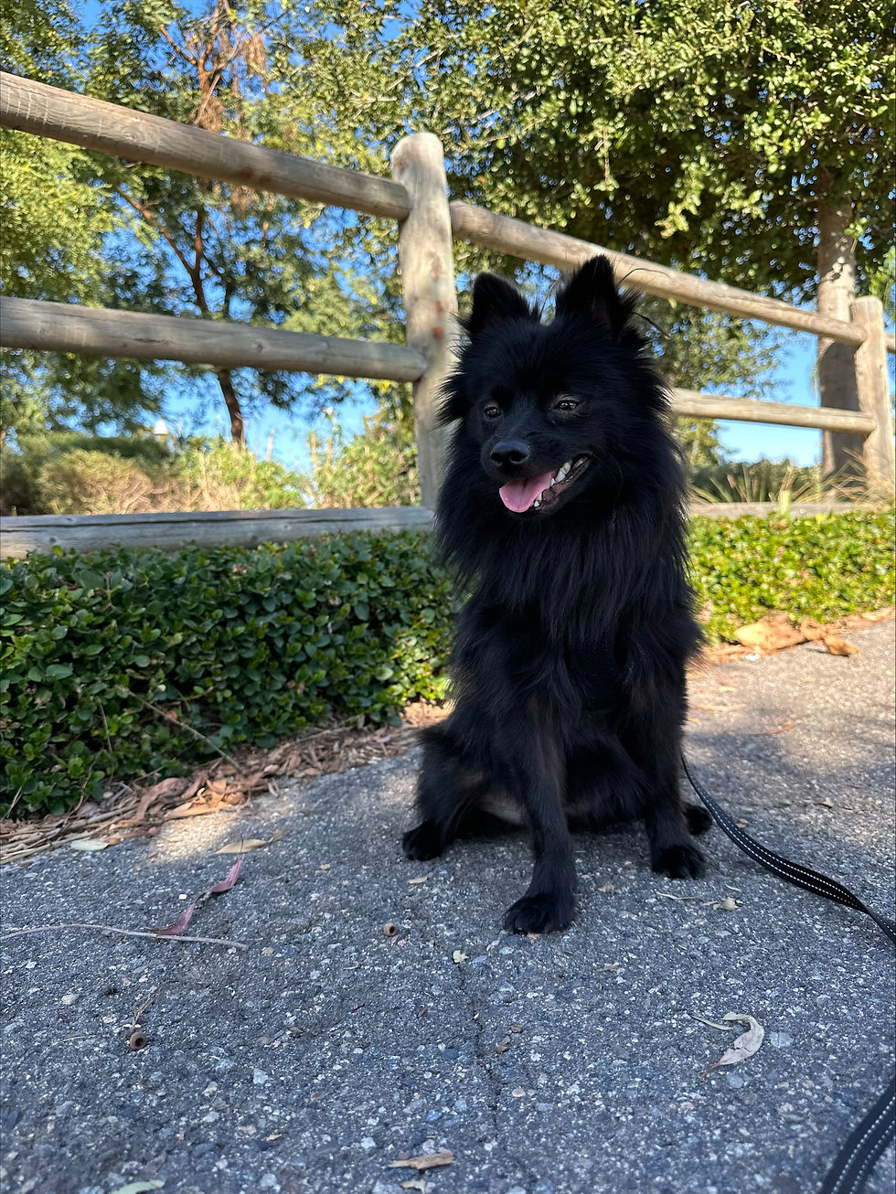 processed-E0AFA867-8C9F-4E6E-91B1-8348C7113461-F1815392-8F04-4CE1-AD93-70F398D1E7DD[1].jpe