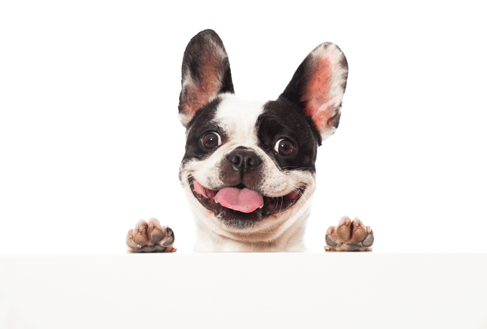 860782_062314a74f2e4fecb79e0eb8ec1f2510_