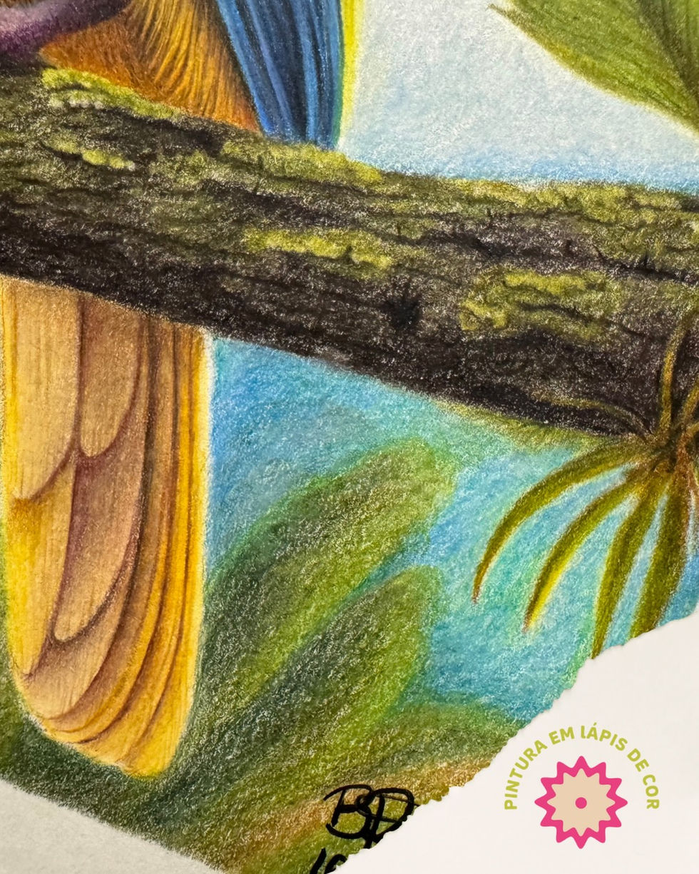 Pássaro amarelo azul casal pássaros verde penas galho lápis de cor arte tradicional