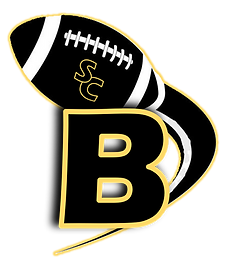 South County Logo.png