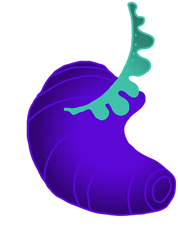 Suedwind_RGB-18.png