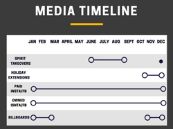 Activation Timeline  II