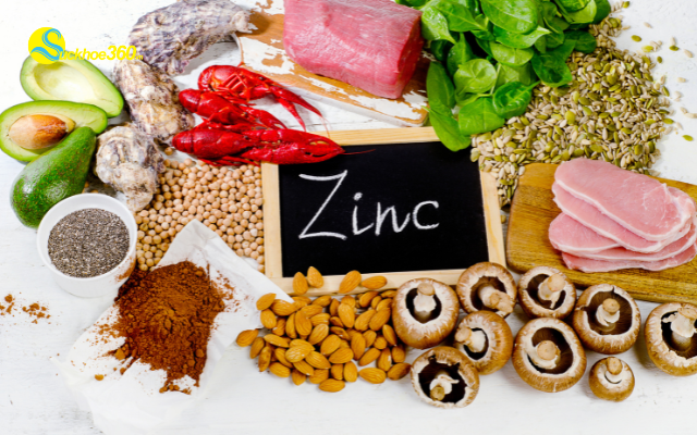 Duy trì chế độ dinh dưỡng giàu kẽm và protein