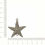 Miniatura: PINGENTE DUAS SAÍDAS ESTRELA DO MAR P NÍQUEL - PCT COM 4