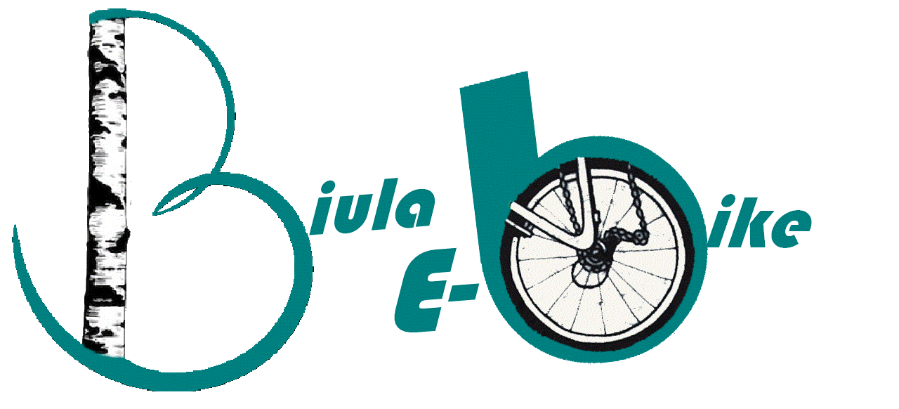 logo noleggio ultima.gif