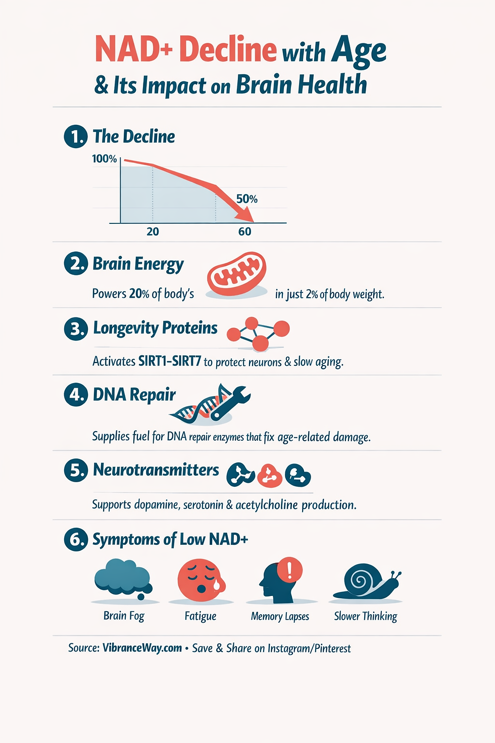 Infographic showing age-related NAD+ decline and its effects on mitochondrial function, DNA repair, and cognitive health