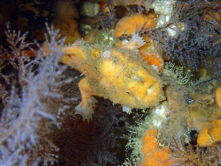 今日はマクロの生き物Day☆