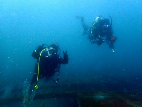 和歌山田辺ダイビング