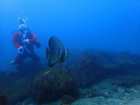 ダイビング和歌山