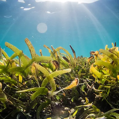 Image by Benjamin L_ Jones.jpg.webp