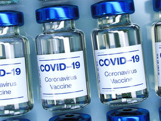 Covid-19 Pandemic | Lionbliss