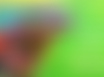 Chameleon Coach