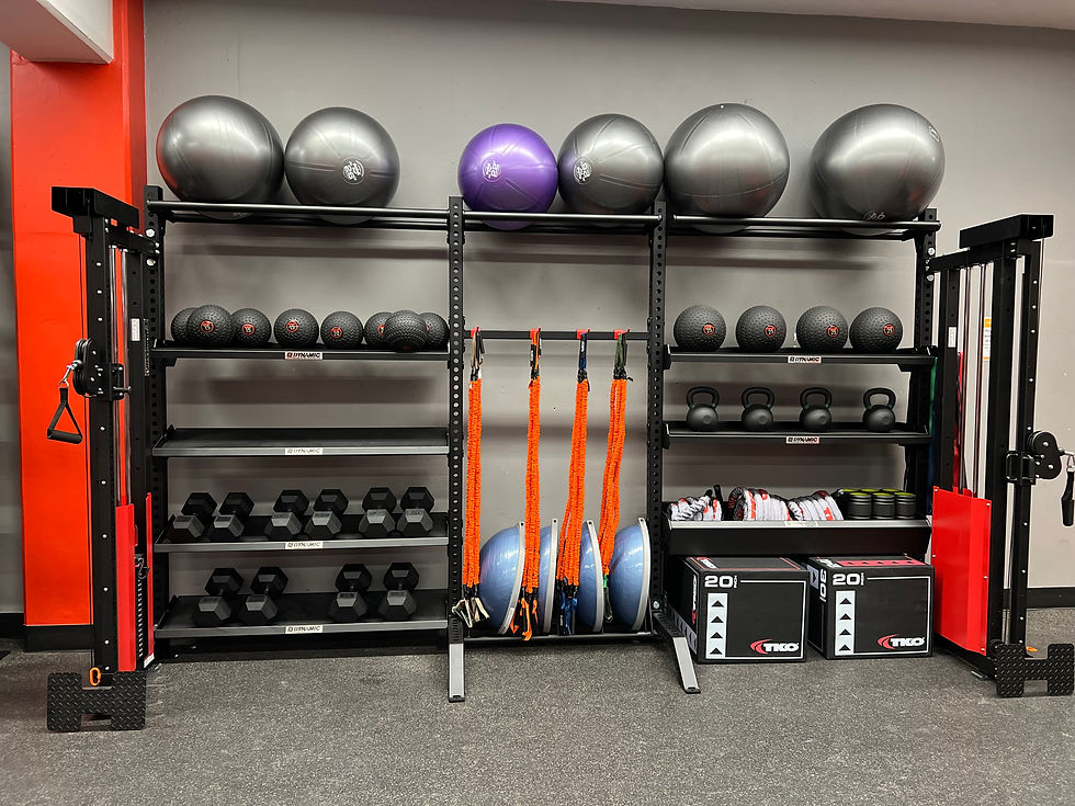 Dynamic Fitness & Strength Storage Solutions