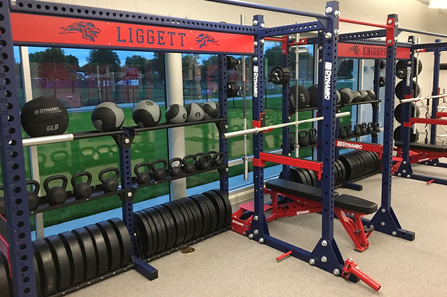 Dinamic Rig Functional Dynamic Fitness Rig Unleash Your Inner Athlete With
