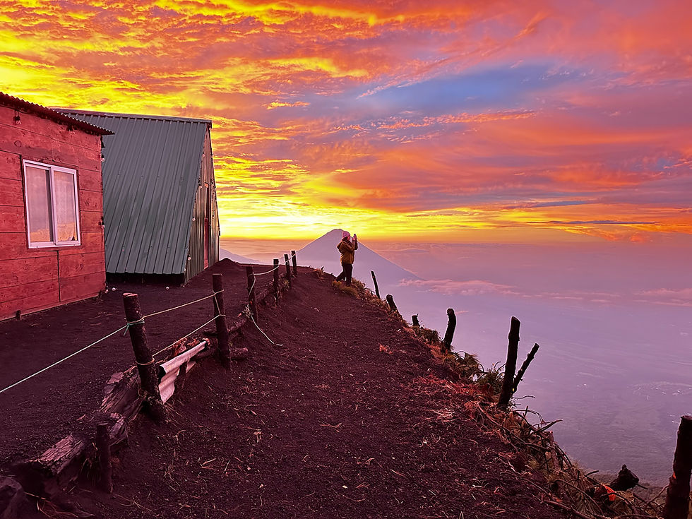 IMG_3555.jpg