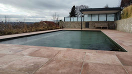 Naturpool