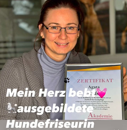 Ausgebildete Hundefriseurin