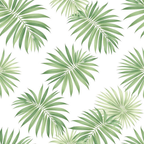 palm-pattern-CwCBhbEw.png