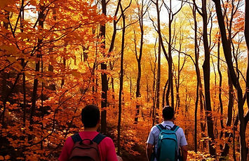 imageye___-_imgi_6_hiking-B1kBHff5.jpg