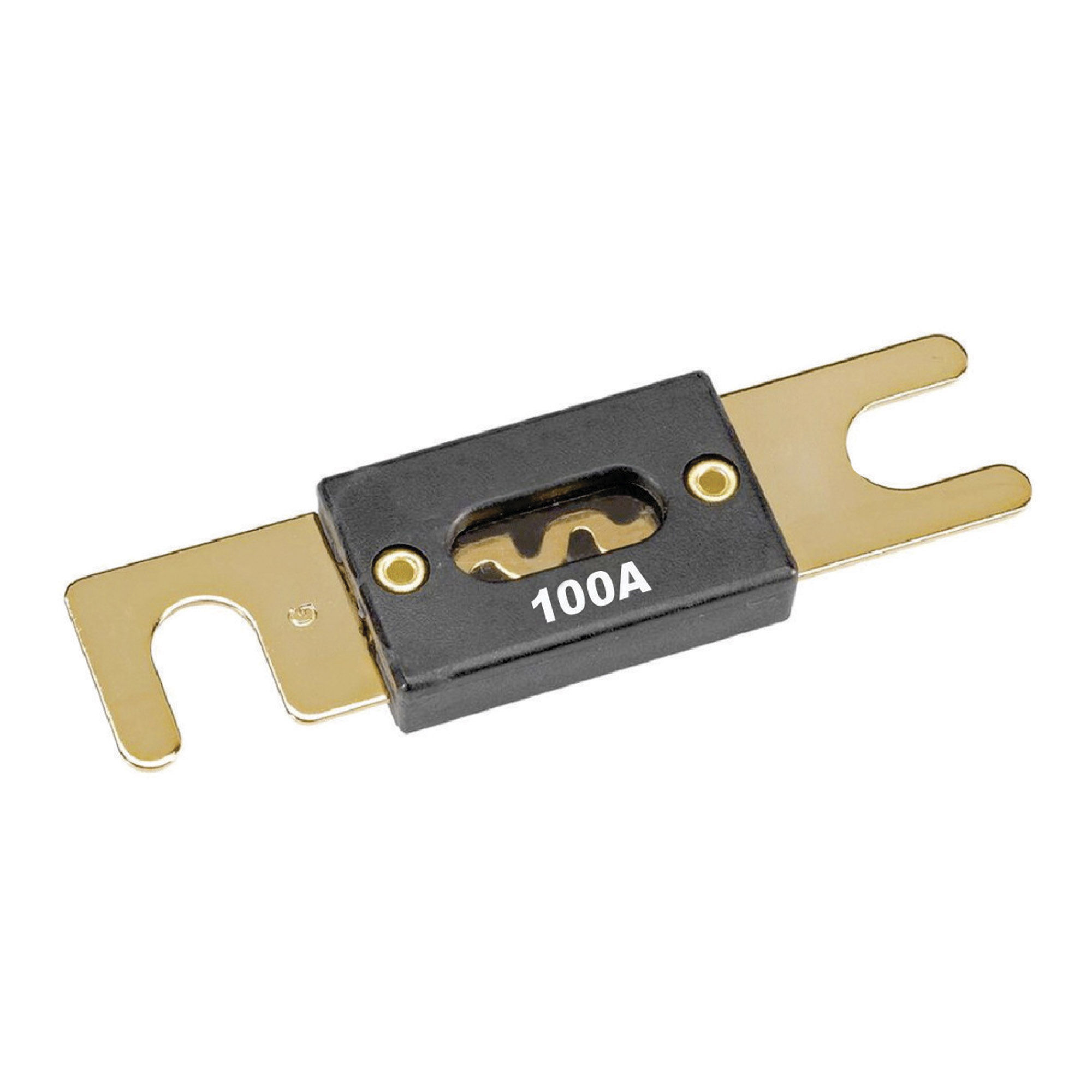 Type ANL Fuses 100 Amp 5 pcs