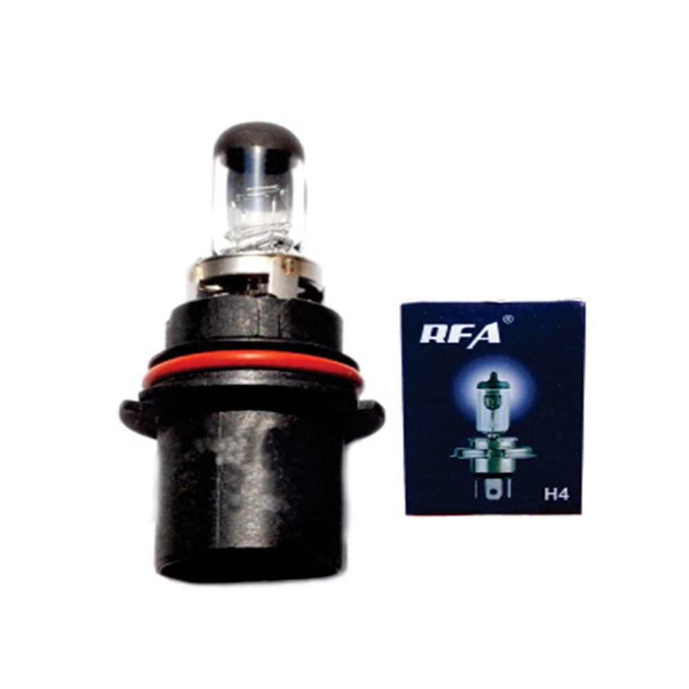 Bulb 9004 100W 10 Pcs