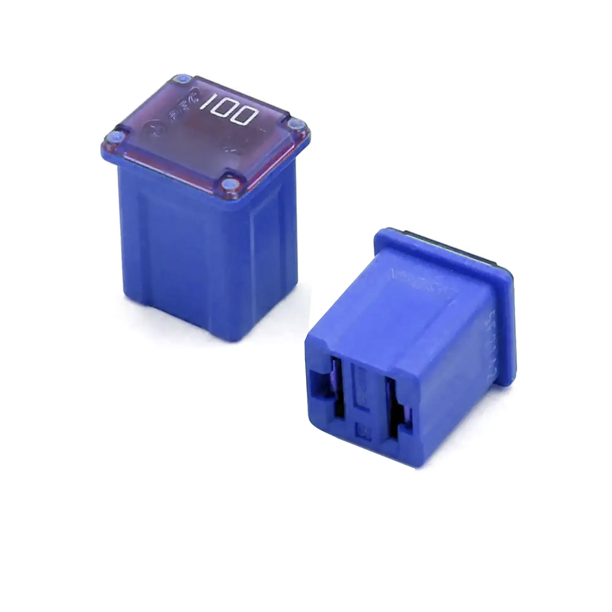 100 Amp Micro Case Fuse