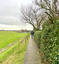 omgeving looppad weiland_edited.png