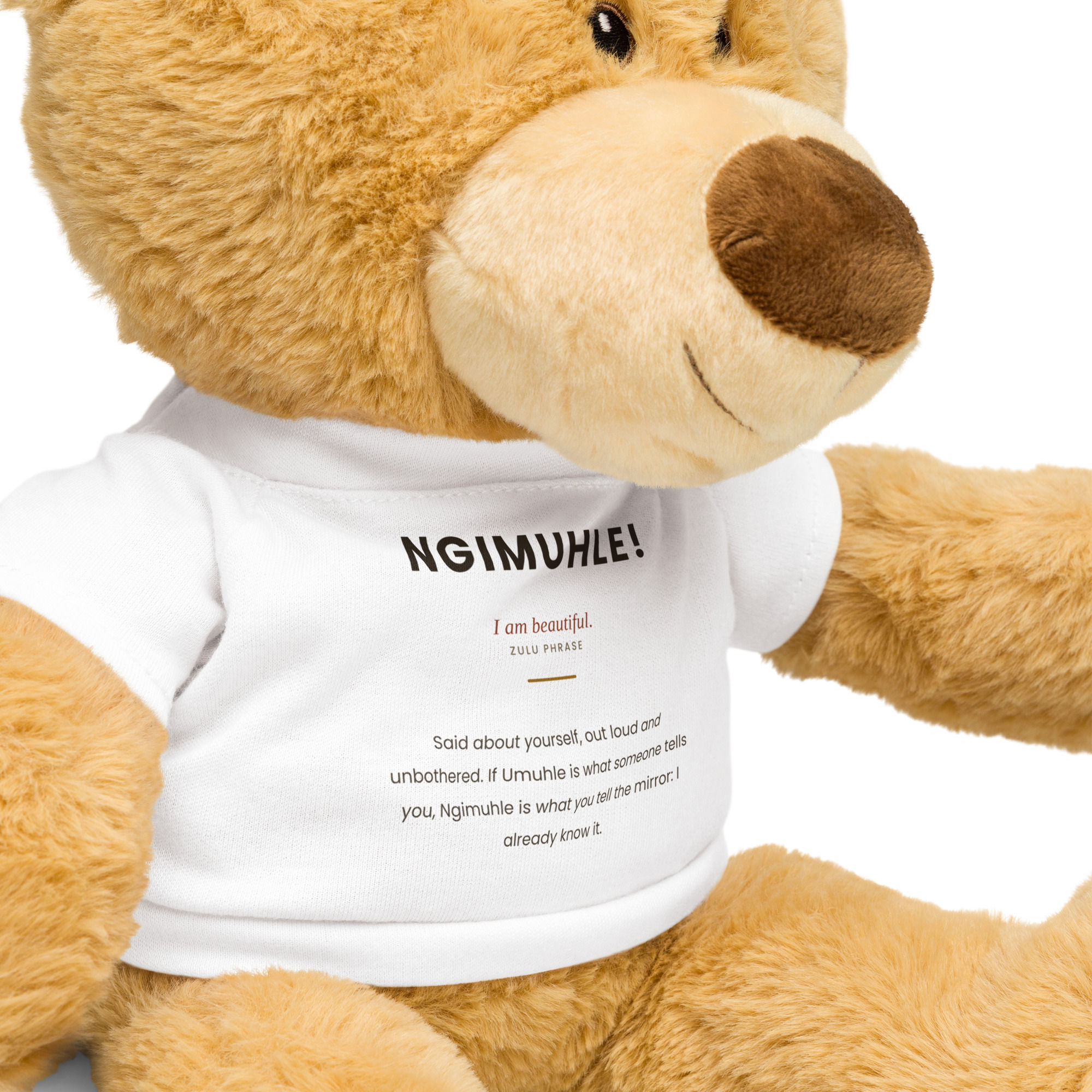 Teddy bear with a t-shirt