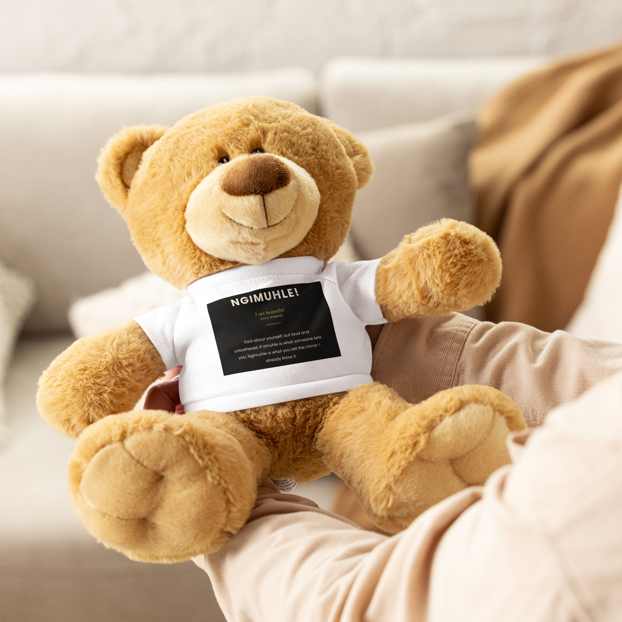Teddy bear with a t-shirt