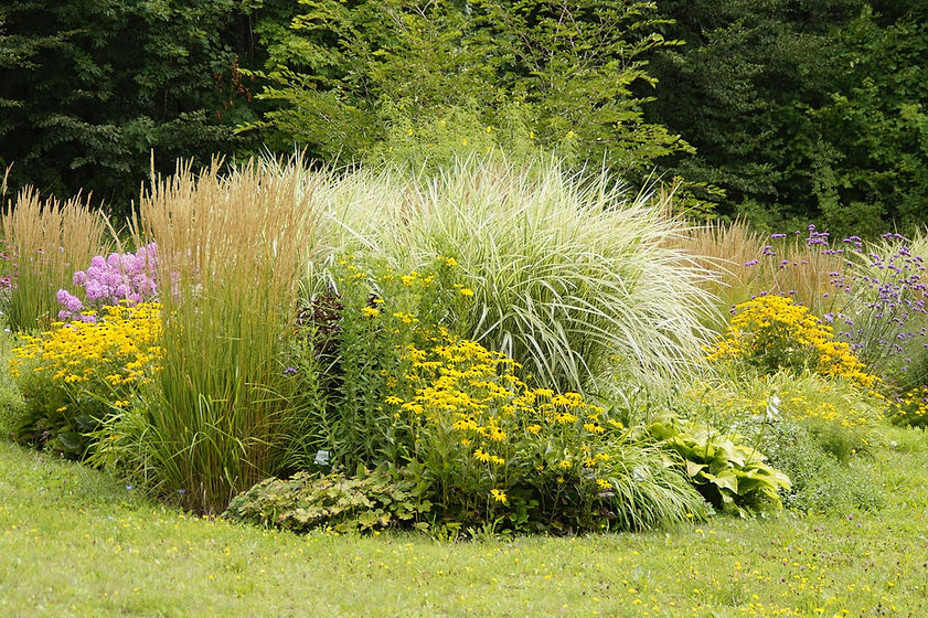 botanical-garden-g4efbfbe9b_1920.jpg
