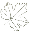 Ahornblatt.png