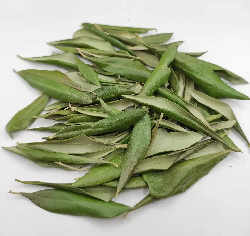 Thumbnail: Organic dried Olive leaves