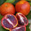 Thumbnail: Ruby blood Orange plants - Only for bulk buyers 