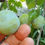 Thumbnail: Pakistani green sour plum/ only for bulk buyers 