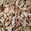 Thumbnail: Cedrus deodara (Deodar Cedar) seeds/ For bulks buyers 