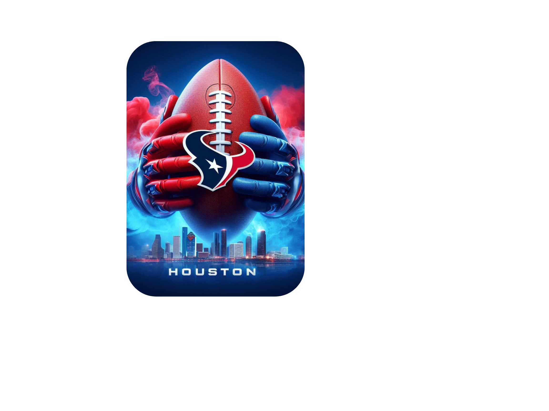 Houston Texans5