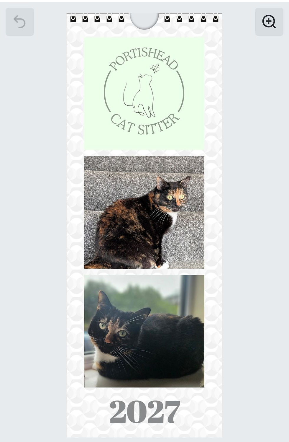 Custom cat calendar