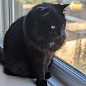 Tilly 1.jpg