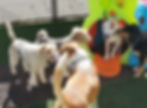 20260502_095747
