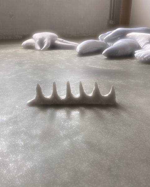 tooth by tooth, I extract myself