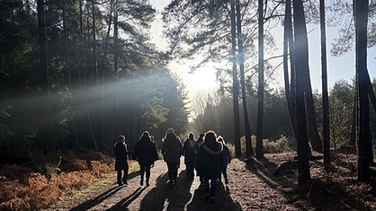 woodland walk 7.1.26 3.JPG