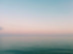 vinoth-ragunathan-cvQ6wD3bPYE-unsplash.jpg