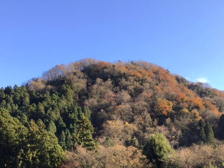 あらゆる分野で原点回帰