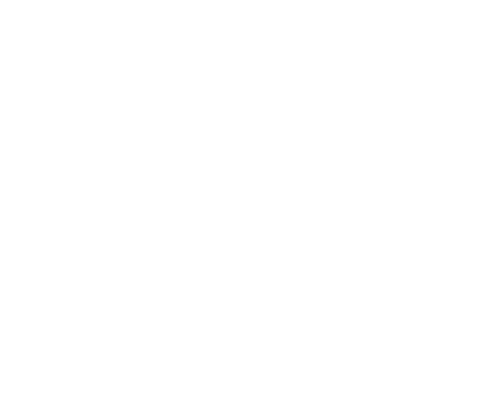 Nature's Playbook Butterfly