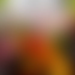 Athena CEO Inducted into San Diego Women's Hall of Fame