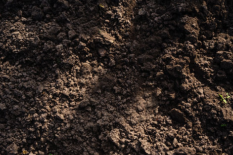 pexels-freestockpro-12940879.jpg