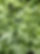 pexels-innature-1032814.jpg